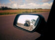 Commercial vehicle mirror safety tips for preventing collisions