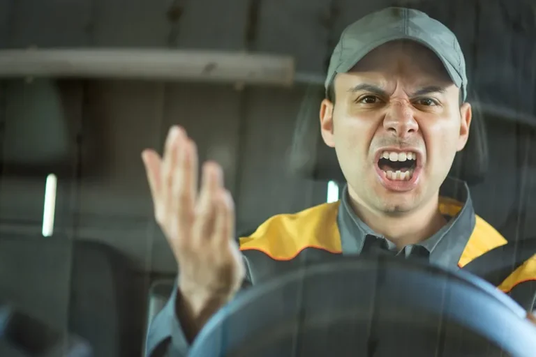 CSD-WEB-1300×650-1920w